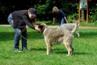 Zwischendurch einfach mal kuscheln!