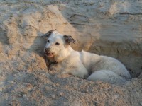 Sand zwischen den Zähnen?